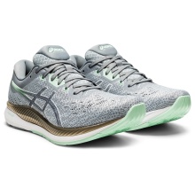 Asics Running Shoes EvoRide (Comfort) Grey Women